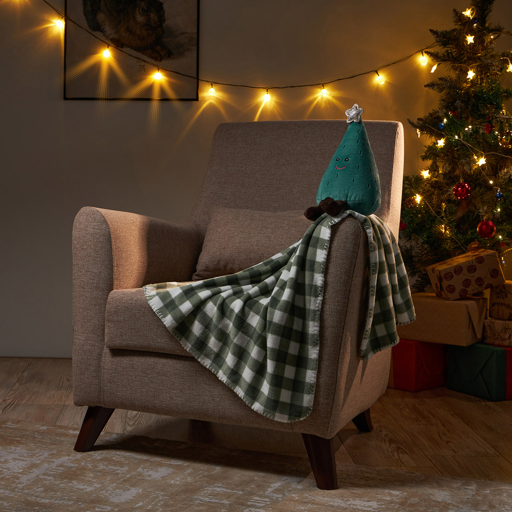 PROVANCE Фелиз Плед с сувениром, 75х90см, 100% полиэстер, зеленый, арт.№ 492-232