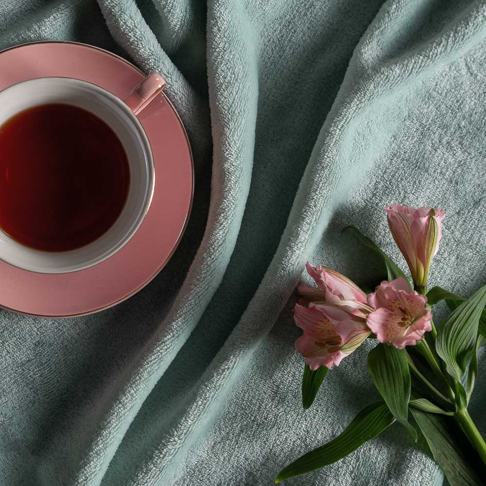 PROVANCE Плед, микрофибра, 180х200см, 230гр/м, "Нежность", 2 дизайна, арт.№ 486-070