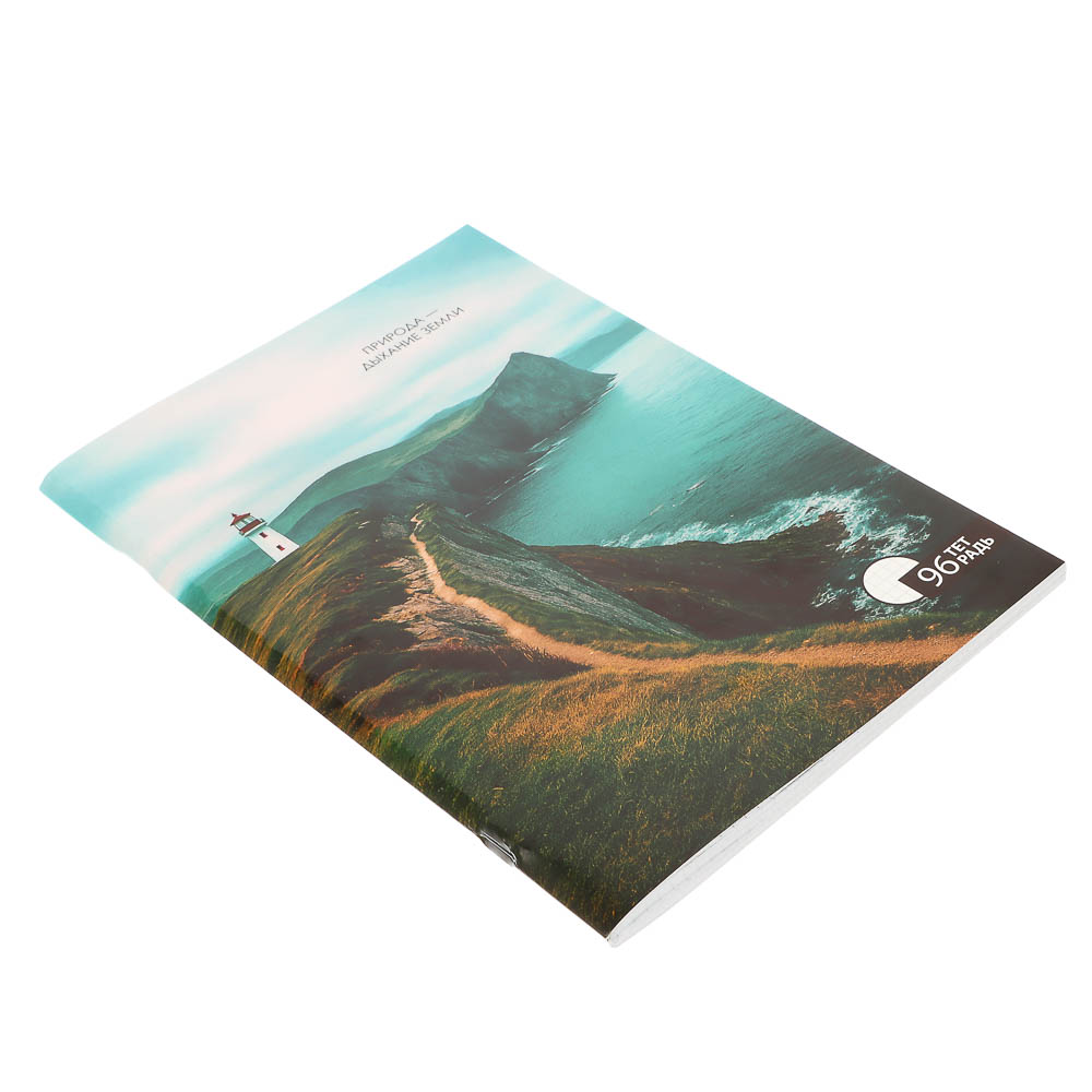 Тетрадь общая А4, 96 листов, в клетку, ClipStudio БЕЛЫЕ ЛИСТЫ, обложка картон, скрепка, 4 дизайна, арт.№ 578-163