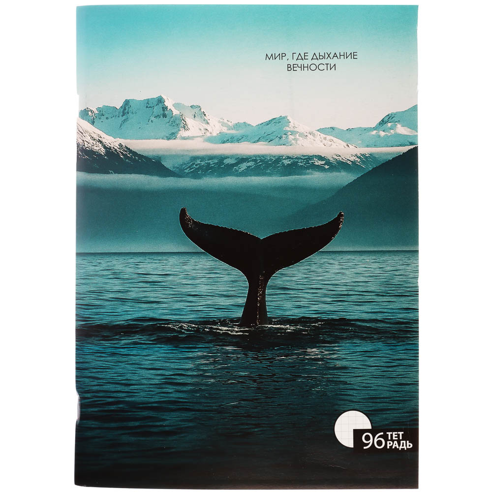 Тетрадь общая А4, 96 листов, в клетку, ClipStudio БЕЛЫЕ ЛИСТЫ, обложка картон, скрепка, 4 дизайна, арт.№ 578-163