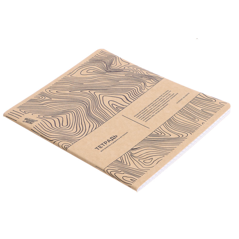 Тетрадь общая BY Русские Супергерои, формат А5, 48л. в клетку, на скобе, скруглен. углы, в ассортим., арт.№ 801-090