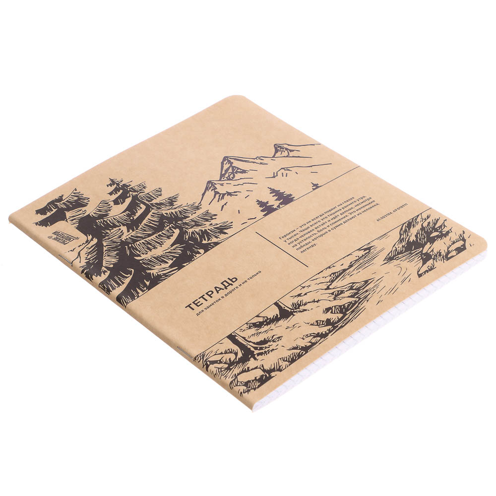 Тетрадь общая BY Русские Супергерои, формат А5, 48л. в клетку, на скобе, скруглен. углы, в ассортим., арт.№ 801-090