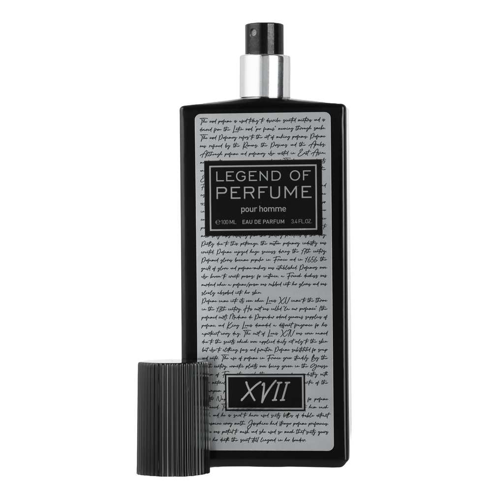 Парфюмерная вода мужская тм BELLERIVE legend of perfume XVII, 100 мл, арт.№ 313-406
