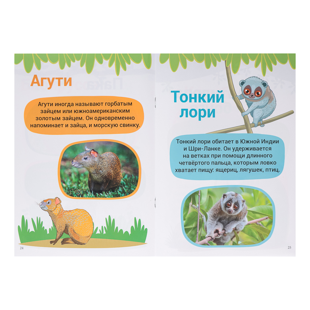 УИД "Атлас для малышей", бумага, 48 стр., 17х24см, 6 дизайнов, арт.№ 857-164