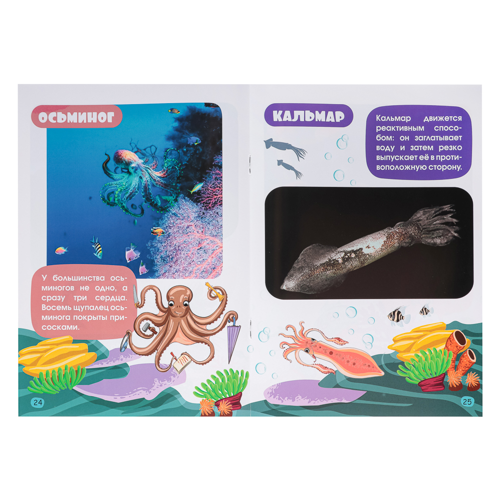 УИД "Атлас для малышей", бумага, 48 стр., 17х24см, 6 дизайнов, арт.№ 857-164