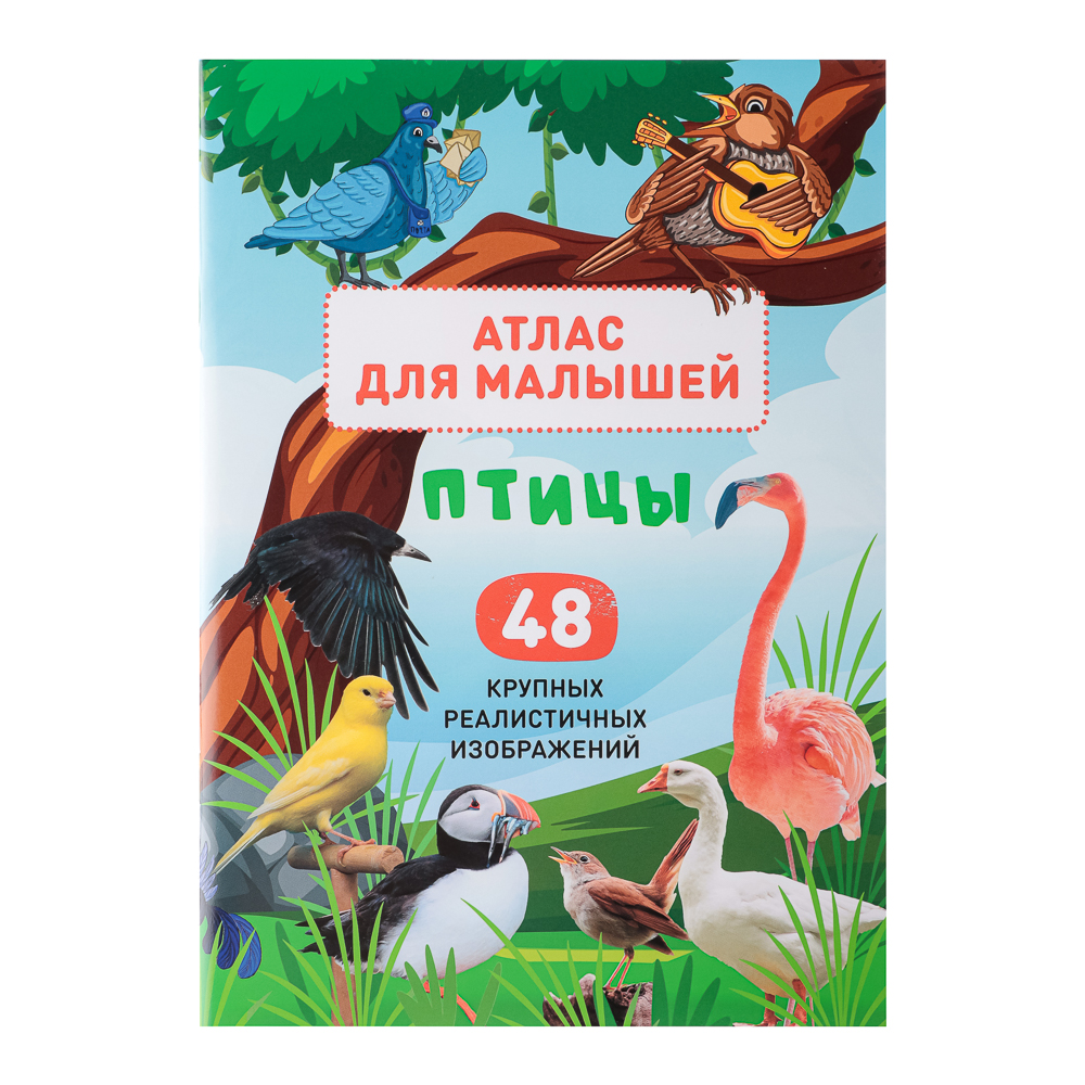УИД "Атлас для малышей", бумага, 48 стр., 17х24см, 6 дизайнов, арт.№ 857-164