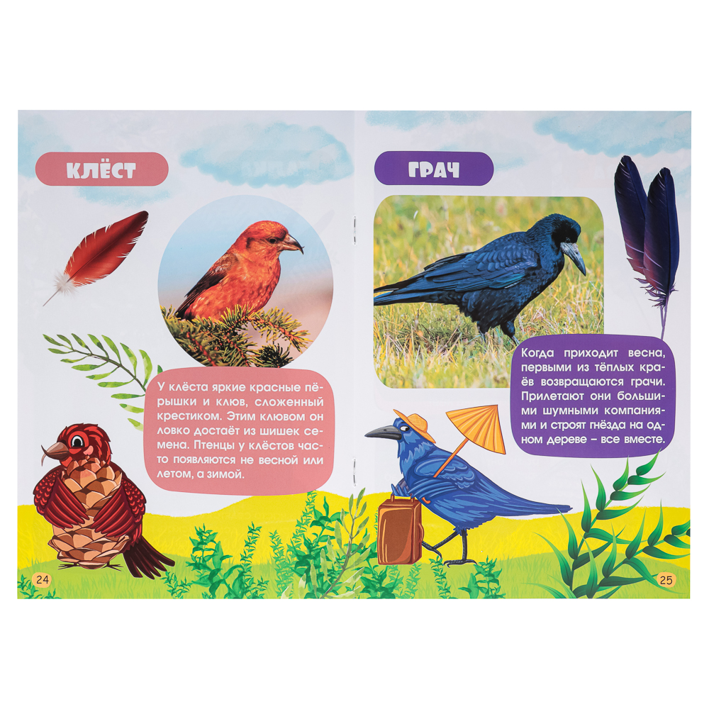 УИД "Атлас для малышей", бумага, 48 стр., 17х24см, 6 дизайнов, арт.№ 857-164