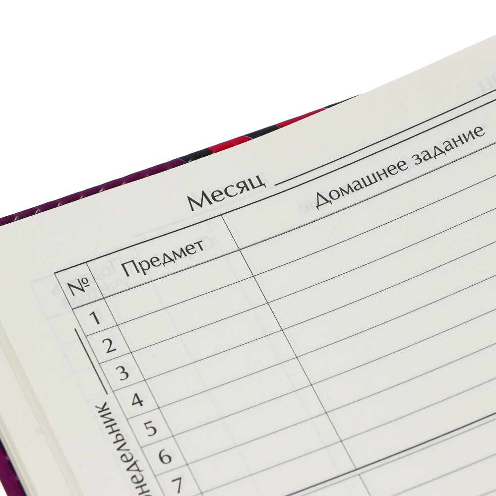 Дневник школьный 48 листов А5+ BY Русские Супергерои, 20,8x16,5 см, тв.обл. с порол., иск.кожа, 2 дизайна, арт.№ 801-069