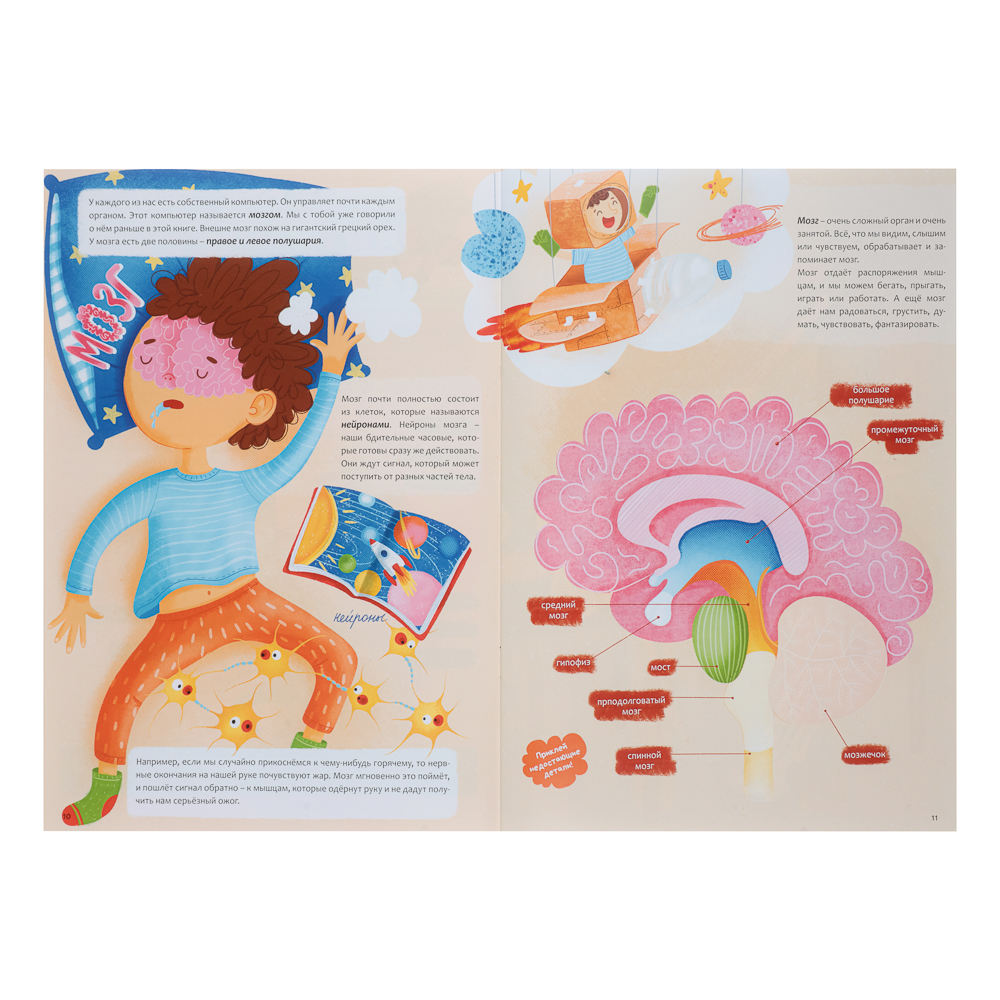 УИД Книжка с наклейками "Мое тело", бумага, 32 стр., 21х29см, арт.№ 857-165