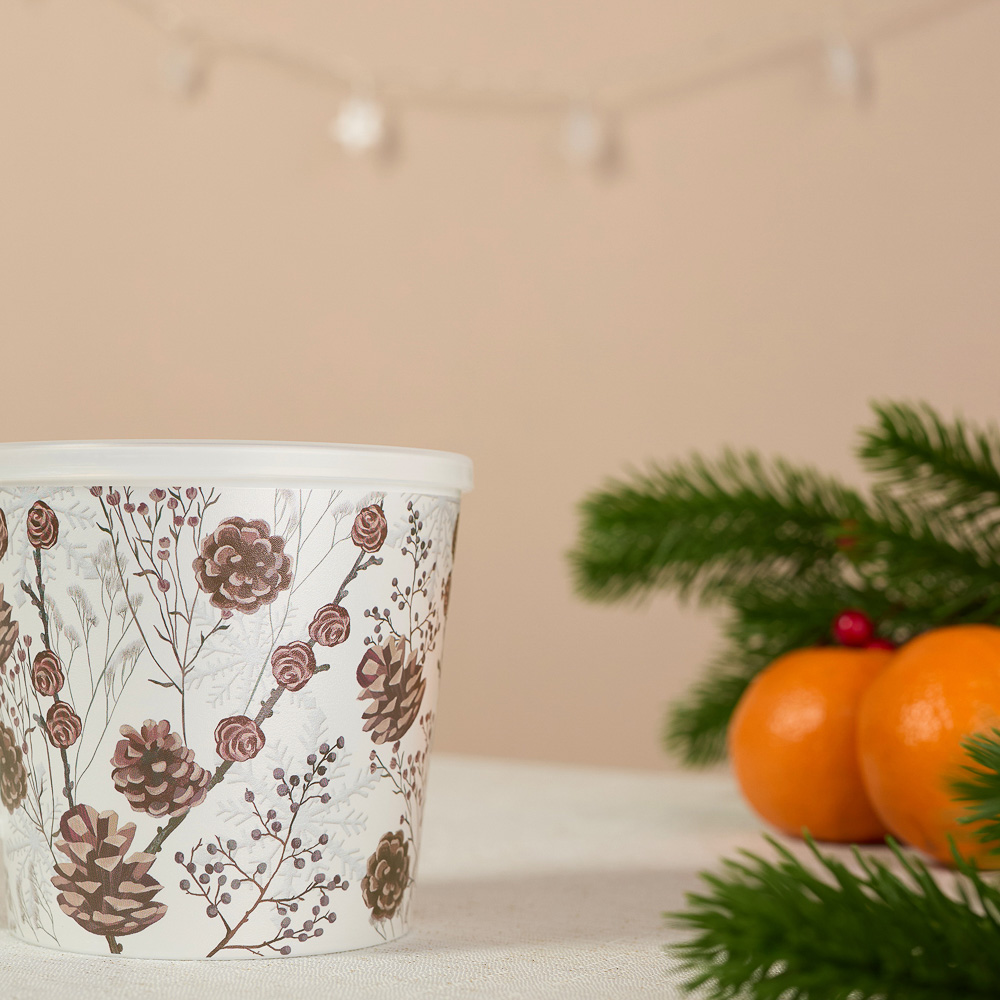 Шишки, Гном Кружка-контейнер, 750мл, пластик, 2 дизайна, арт.№ 861-470