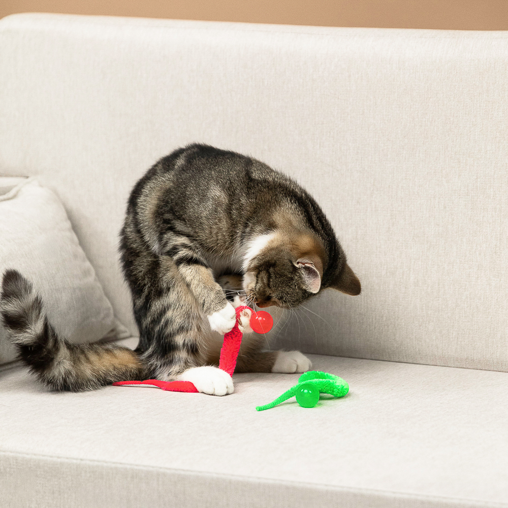 VETTA Игрушка для домашних животных, ТПР, ПЭ, 2,5 см, арт.№ 273-125