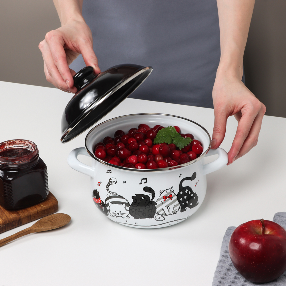 VETTA Хвостатые друзья Кастрюля эмалированная, 18см, 2,0л, индукция, арт.№ 894-541