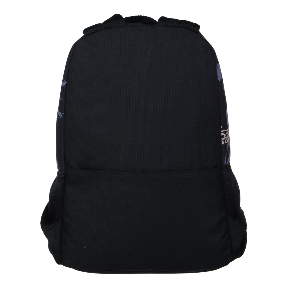 Рюкзак подростковый 40х30х15см, 1 отд., 4 кармана (1 на спинке), ПЭ, пулеры из силикона, "Графити", арт.№ 555-011