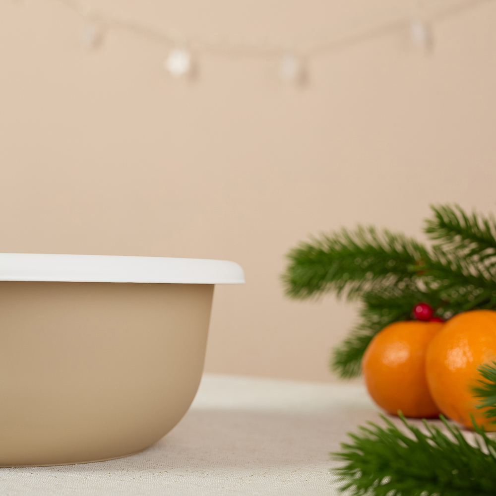 Шишки, Гном Миска с крышкой 2,1л, пластик, 2 дизайна, арт.№ 861-473