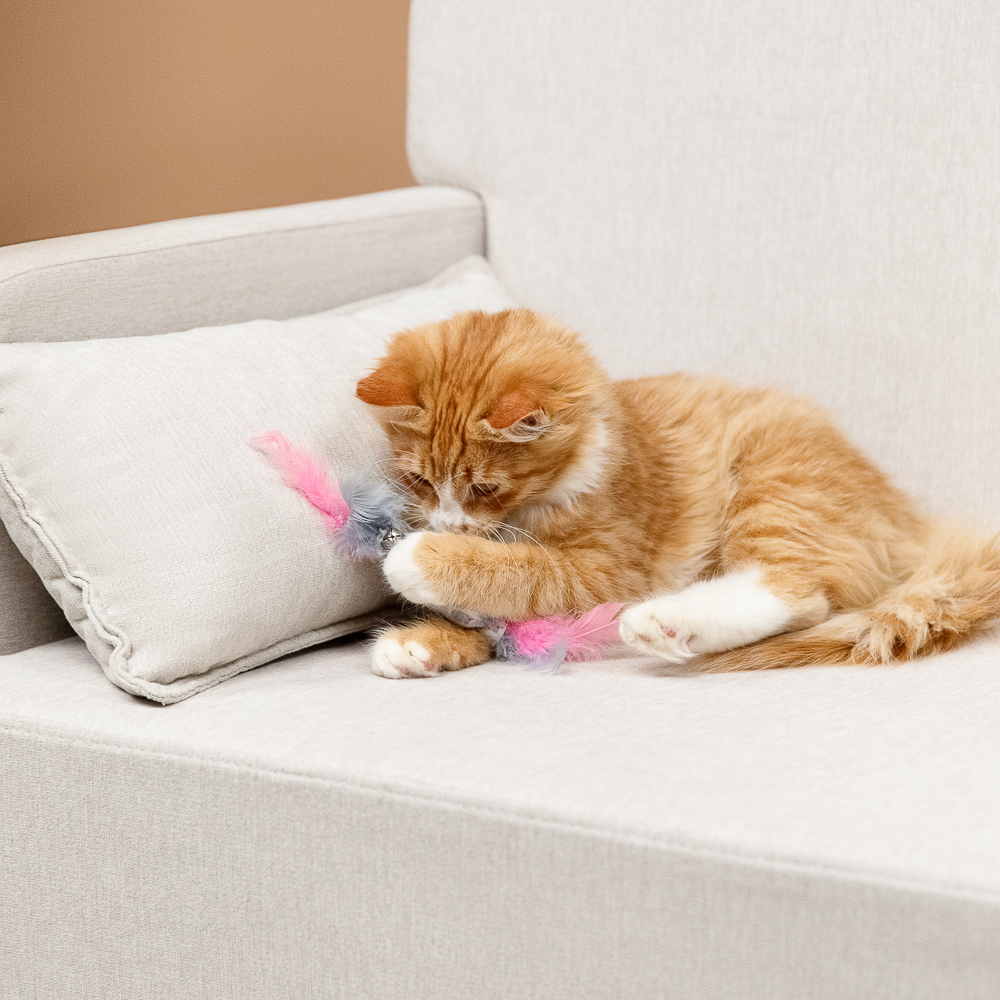 VETTA Игрушка для домашних животных, ПЭ, перья, 5,5х2,5 см, арт.№ 273-130