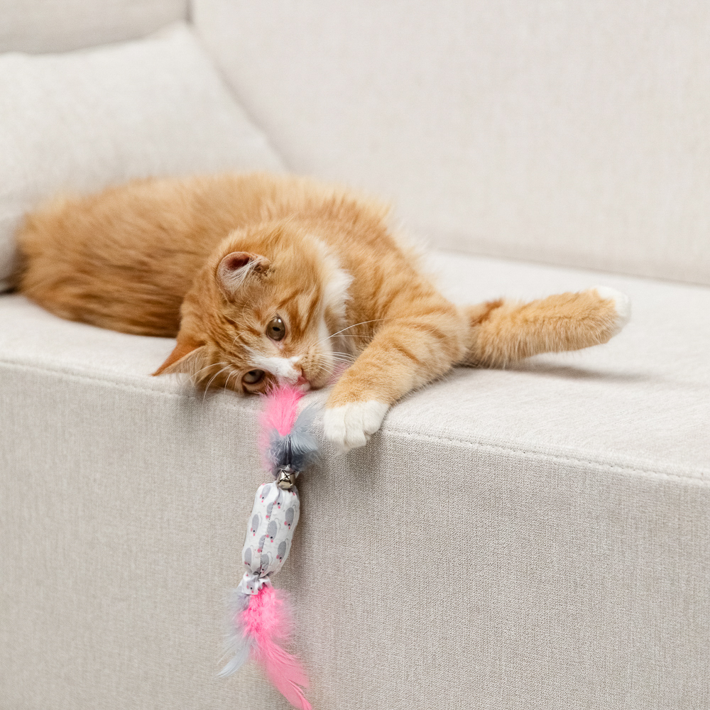 VETTA Игрушка для домашних животных, ПЭ, перья, 5,5х2,5 см, арт.№ 273-130