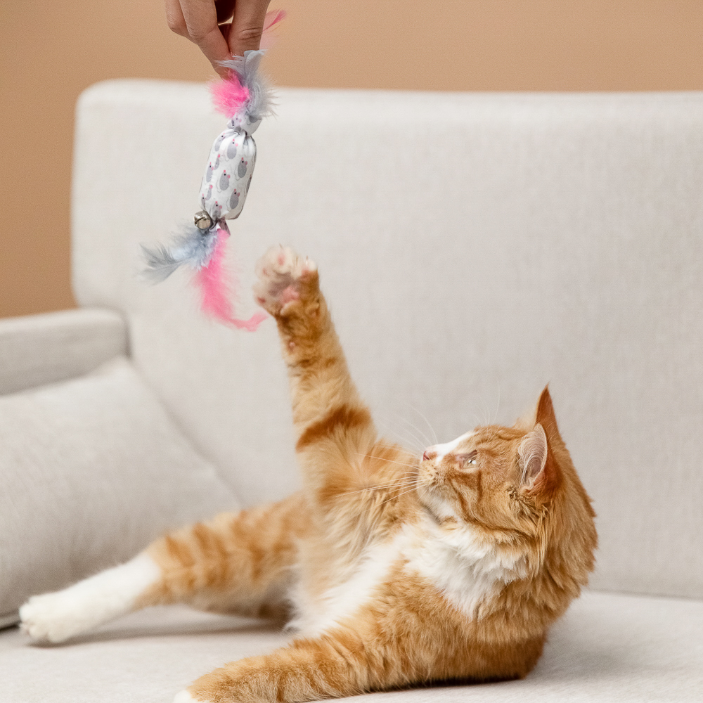 VETTA Игрушка для домашних животных, ПЭ, перья, 5,5х2,5 см, арт.№ 273-130