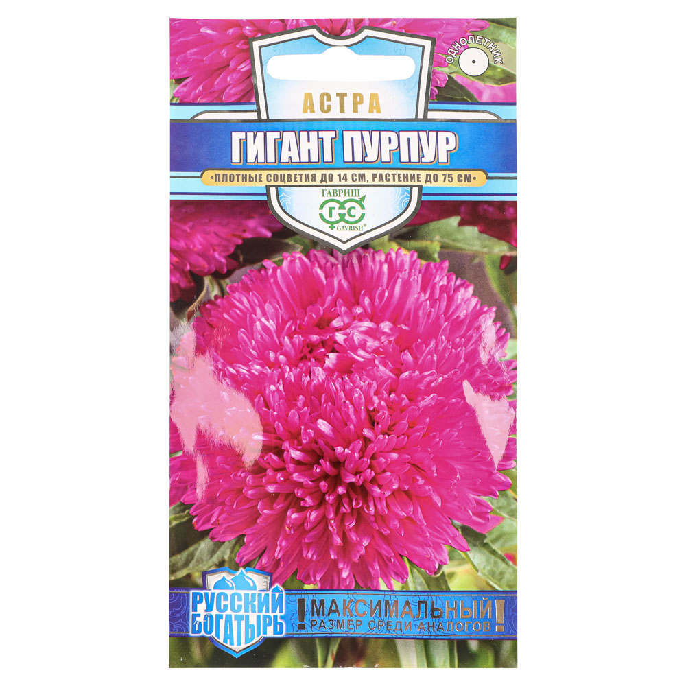 Семена Астра Гигант пурпур, однолетняя (игольчато-коготковая) 0,05гр, серия Русский богатырь Н18, арт.№ 179-418