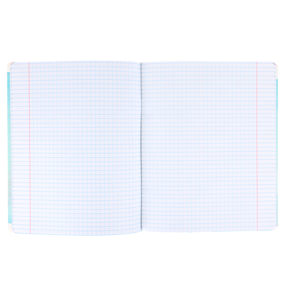 Тетрадь общая 48л. в клетку, офсет, обл.картон, эффекты, скрепка, "Радуга", 7-48-855, 5 дизайнов, арт.№ 578-123