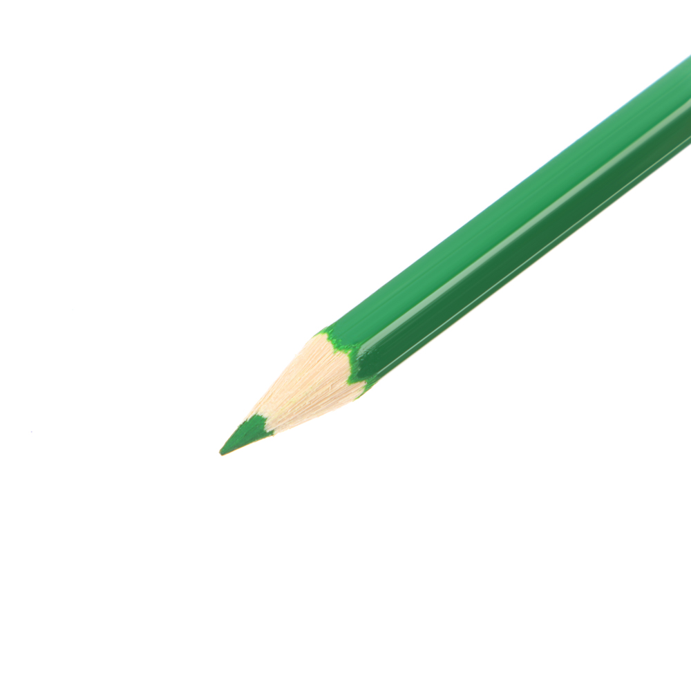 Карандаши цветные шестигранные "ZOO" 6 цв. (пластиковые), арт.№ 228-208