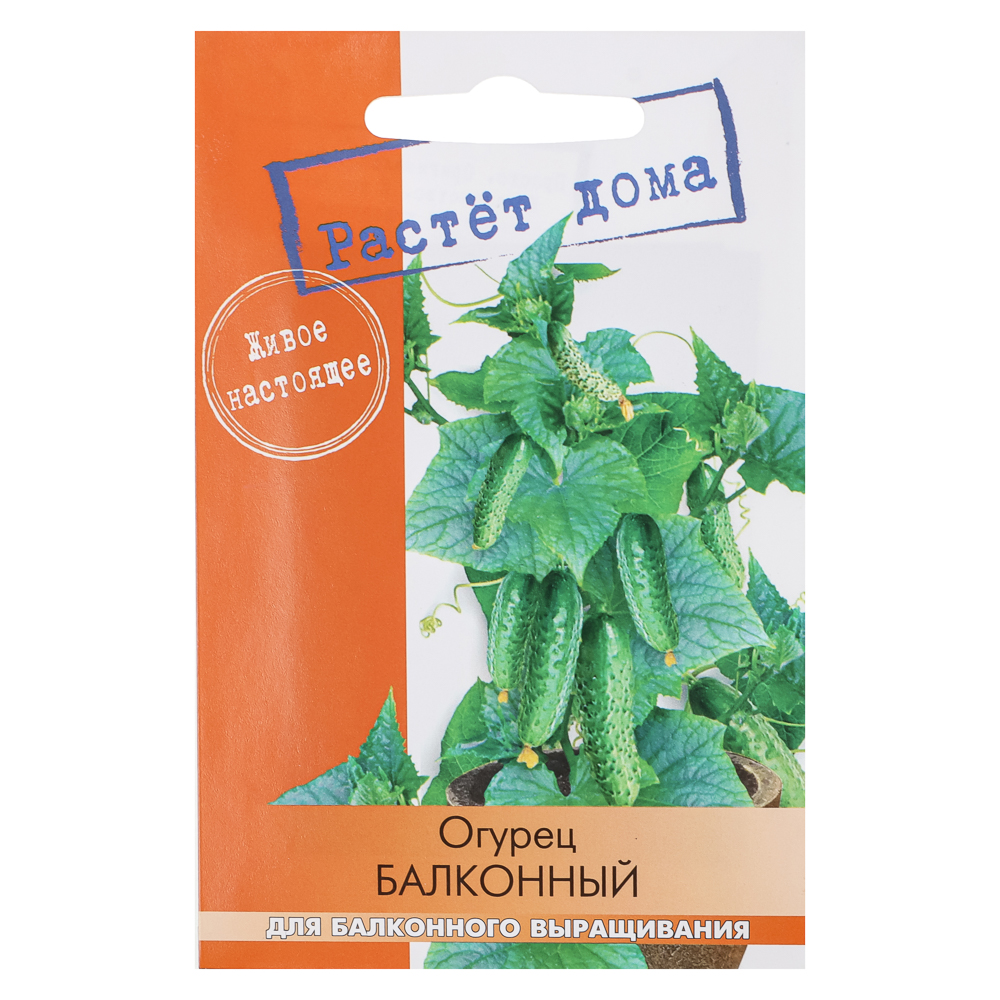 Огурец Балконный 5 шт, арт.№ 179-648