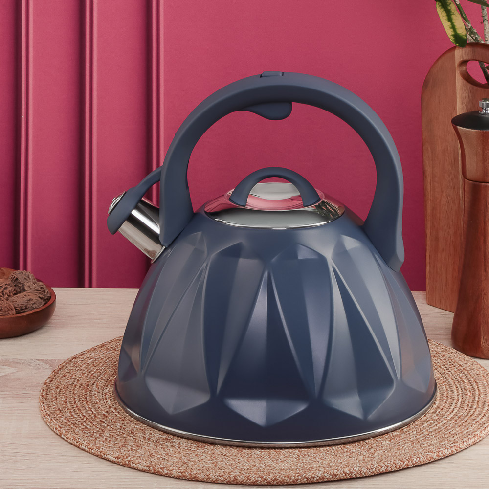 SATOSHI Чайник стальной 2,7л "Ривьера", индукция, арт.№ 847-119