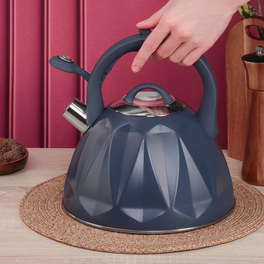 SATOSHI Чайник стальной 2,7л "Ривьера", индукция, арт.№ 847-119