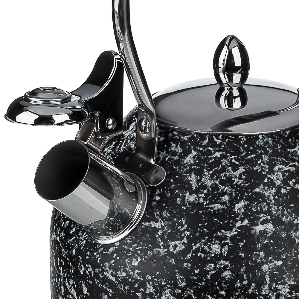 VETTA Чайник стальной 2,7л "Терра", индукция, арт.№ 847-120