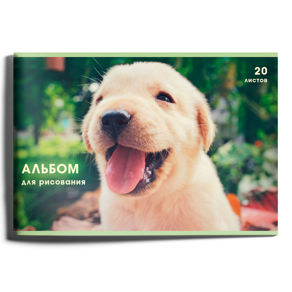 Альбом для рисования A4 20л., офсет 110г/м2, скрепка, в ассортименте, арт.№ 515-075