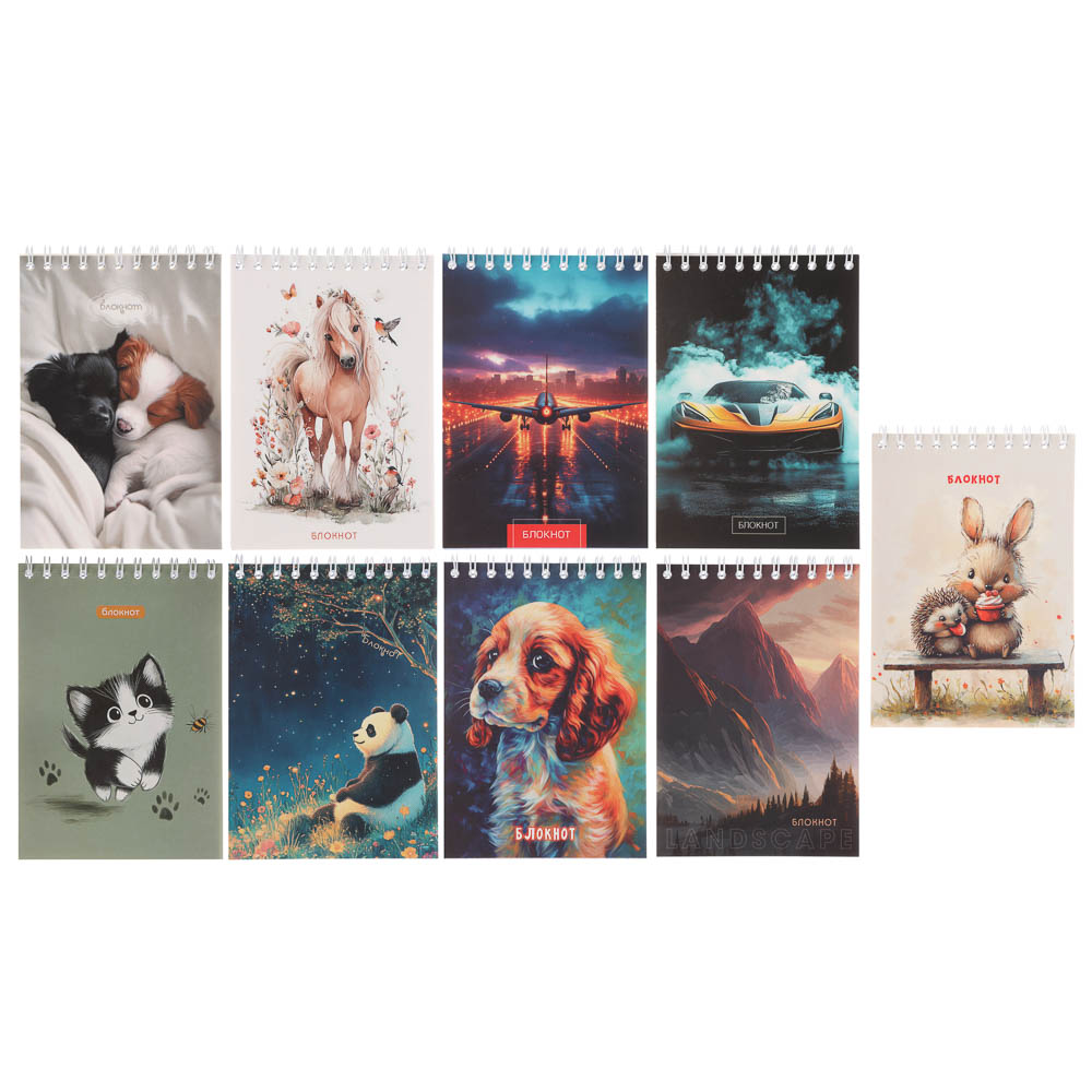 Блокнот А6, 40л., офсет, обложка картон, спираль, в клетку, 9 диз., арт.№ 540-018