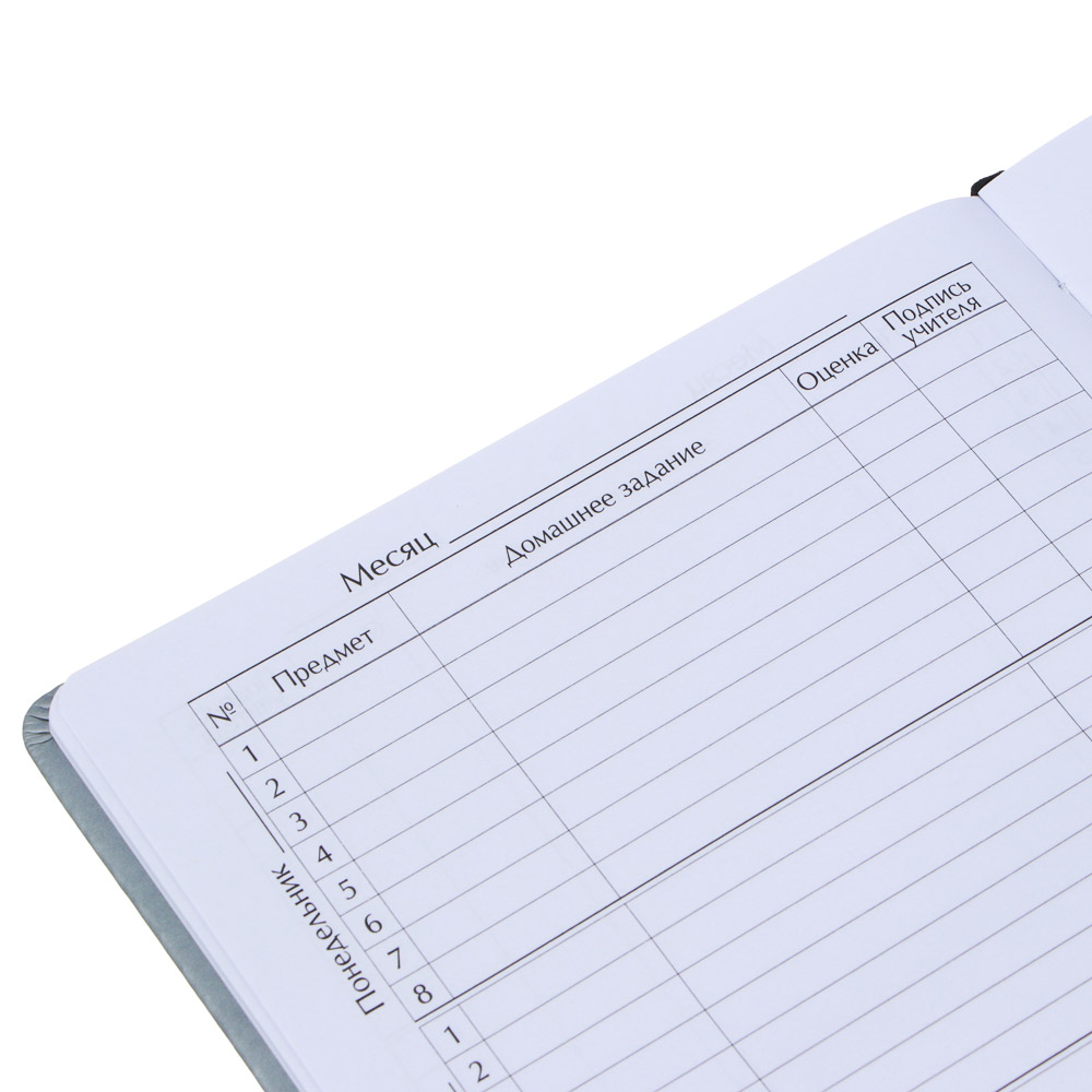 Дневник школьный 48 листов формат А5+ BY "Монстрики на сером", 20,8х16,5 см, твердая обложка искусственная кожа, с цветной печатью, закладка, арт.№ 564-029