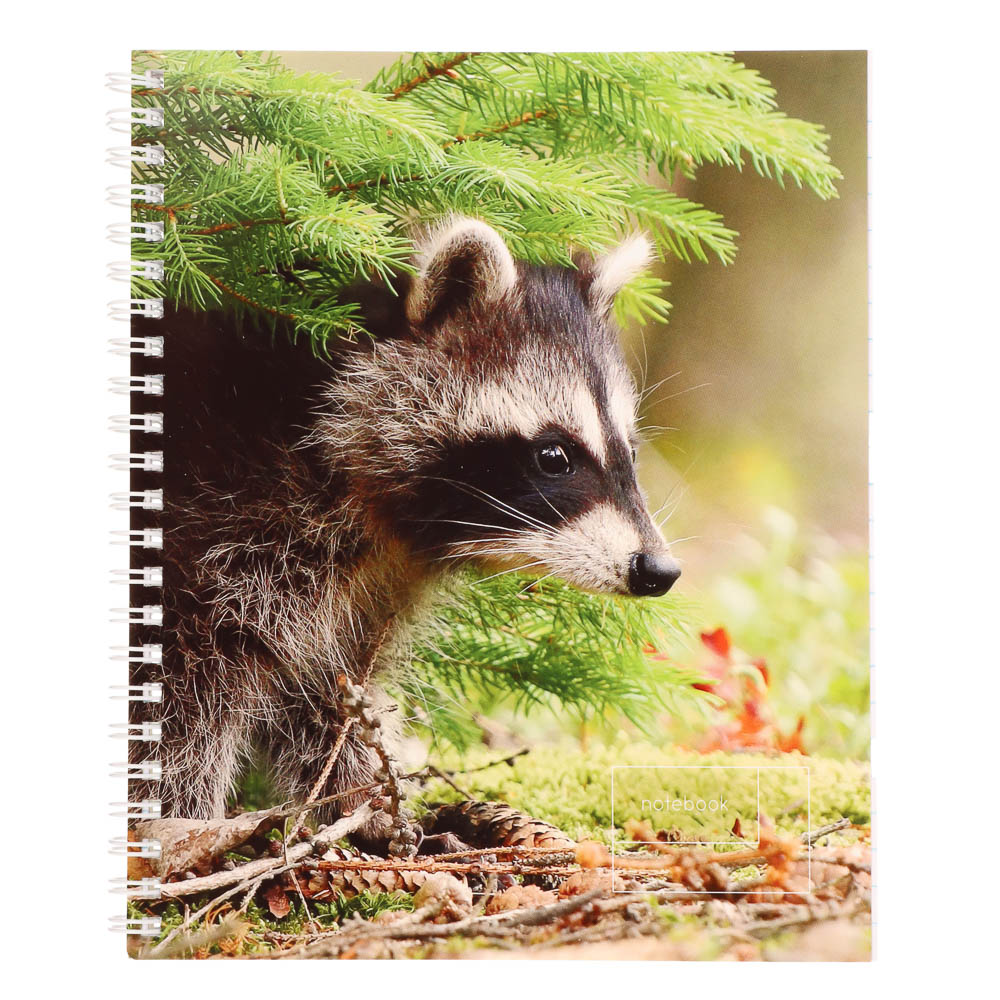 Тетрадь 80 л., А5, БЕЛЫЕ ЛИСТЫ, в клетку, обл.мел. картон, на спирали, микс, арт.№ 578-177