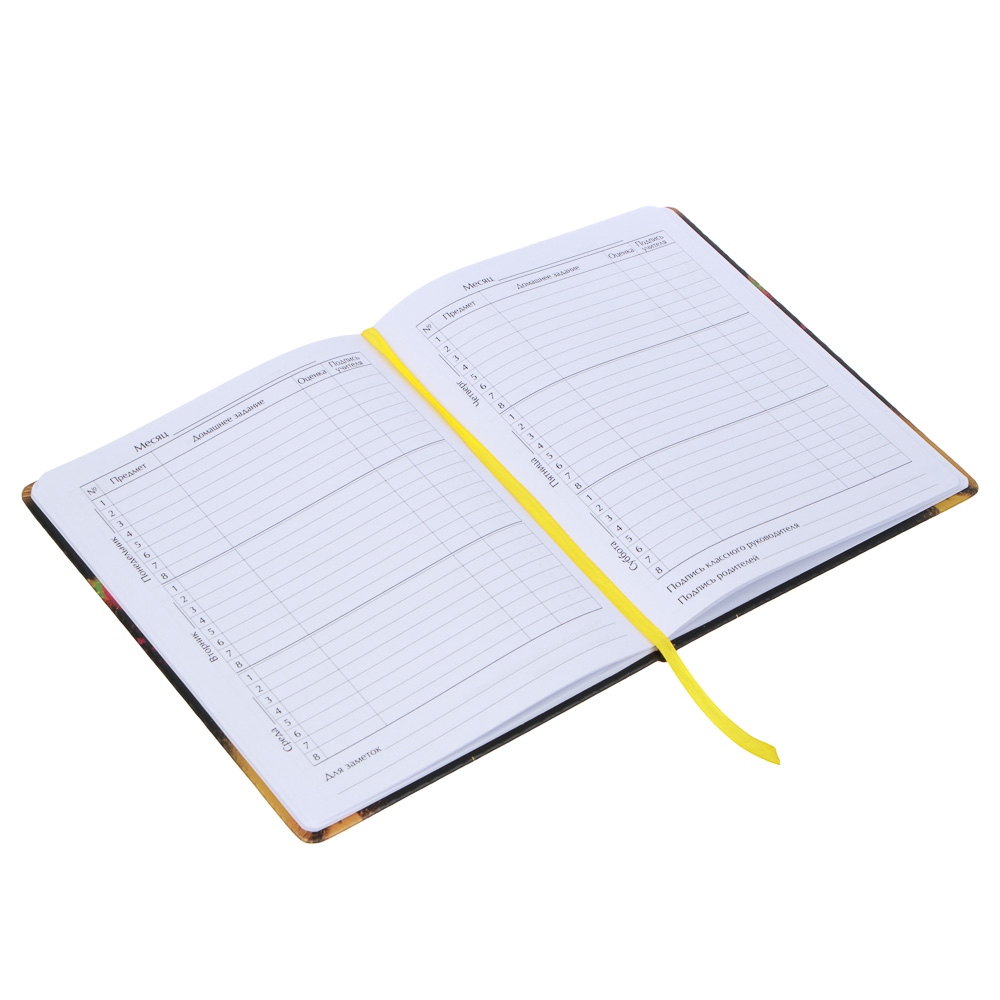 Дневник школьный 48 листов формат А5+BY "Большой смайл", 20,8х16,5 см, твердая обложка искусственная кожа с цветной печатью, закладка, арт.№ 564-028