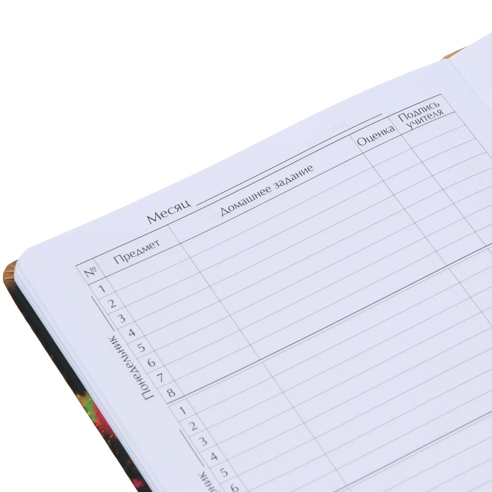 Дневник школьный 48 листов формат А5+BY "Большой смайл", 20,8х16,5 см, твердая обложка искусственная кожа с цветной печатью, закладка, арт.№ 564-028