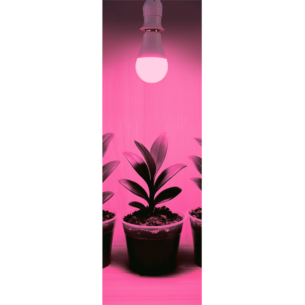 INBLOOM Лампочка для растений, 5x5.4см, 80LED (52R+28B), Е27, 3.6Вт, PC, арт.№ 185-078
