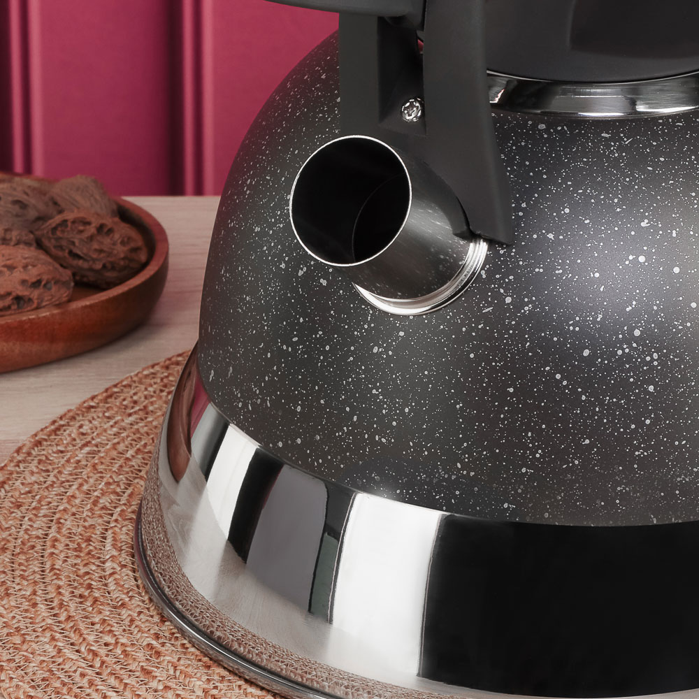 SATOSHI Чайник стальной 2,7л "Гардан", индукция, арт.№ 847-123