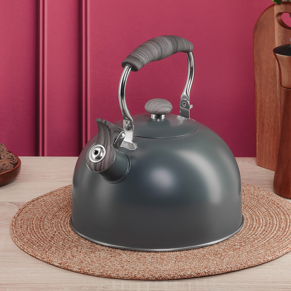 VETTA Чайник стальной 2,2л "Ливорно", индукция, арт.№ 847-124