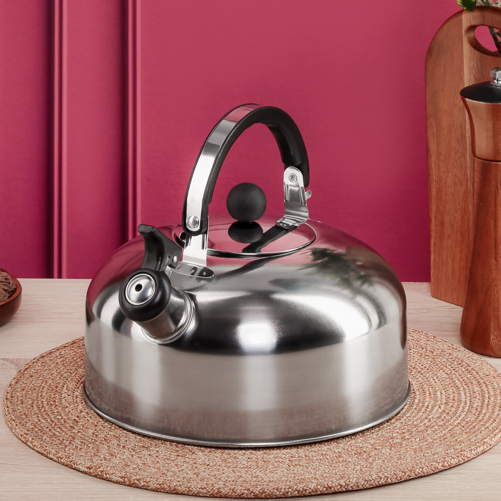 Чайник стальной 2,5л индукция, арт.№ 847-125