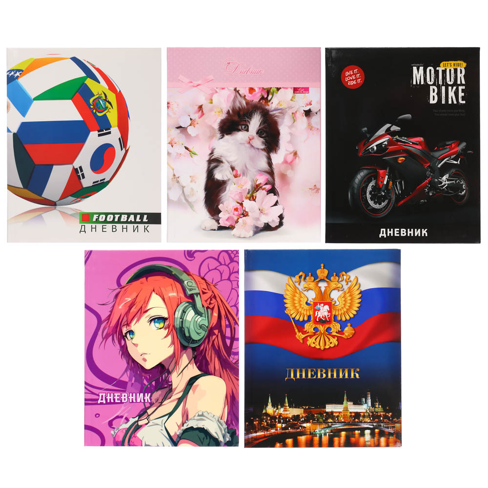 Дневник школьный для старших классов, 48л., гибкая интегральная обложка, блок офсет 60 г\м2, 5 диз., арт.№ 564-005