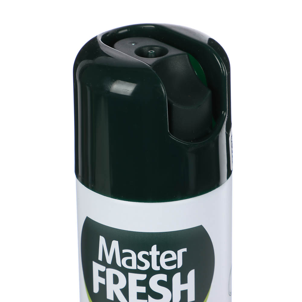 Освежитель воздуха Master FRESH Горный воздух, ж/б, 300мл, арт.№ 991-080