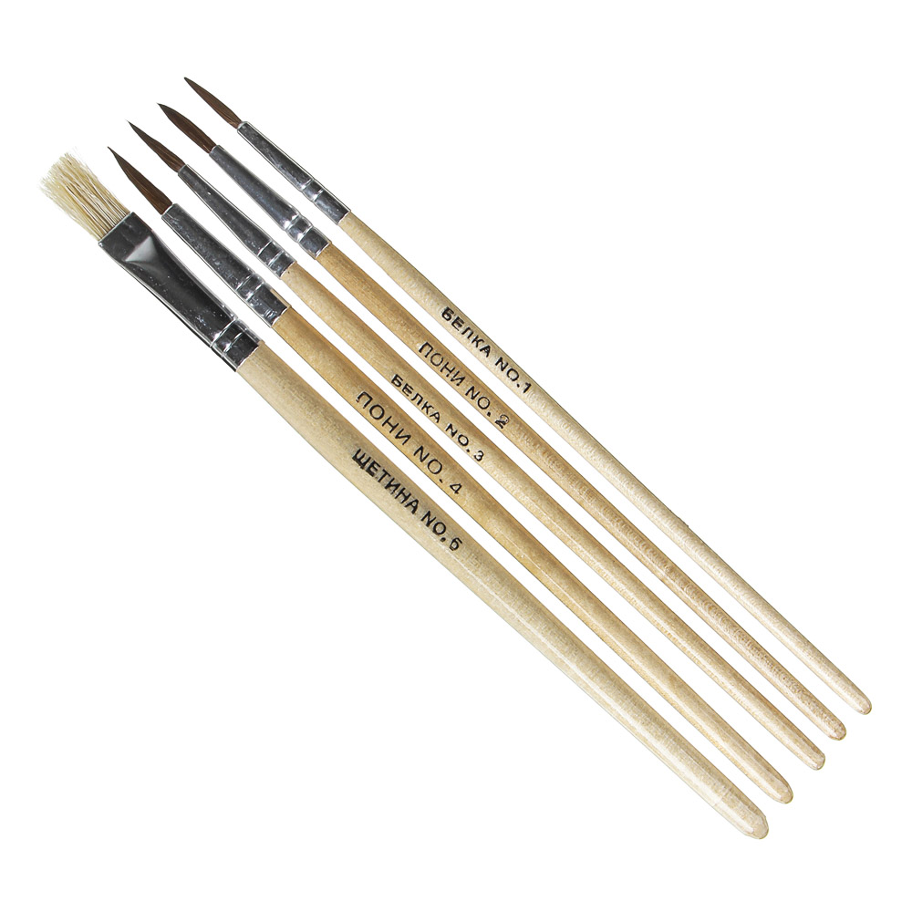 Спорт Эффект Набор кистей 5 шт: белка №1,3 волос пони № 2,4, щетина №6, в пакете с подвесом, арт.№ 229-060