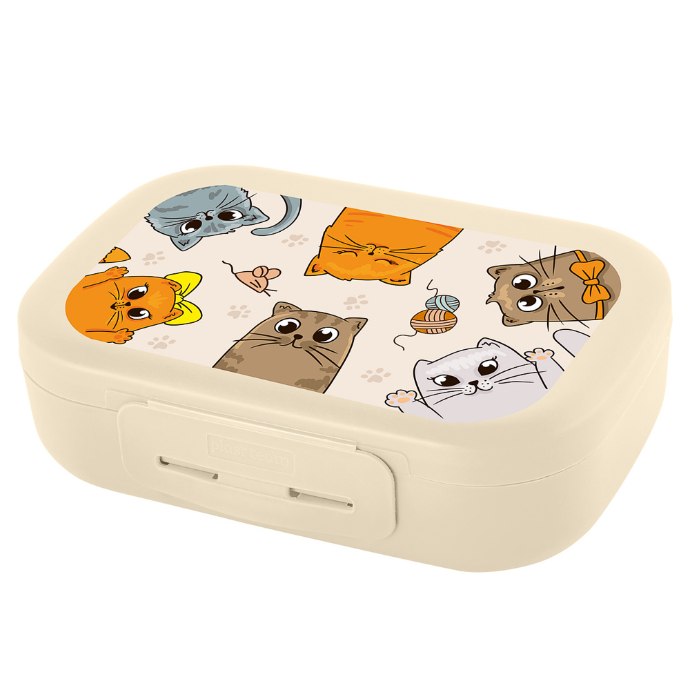 Ланч-бокс 0,8л (17,9х12,8х5,2см), пластик, в ассортименте, арт.№ 861-506