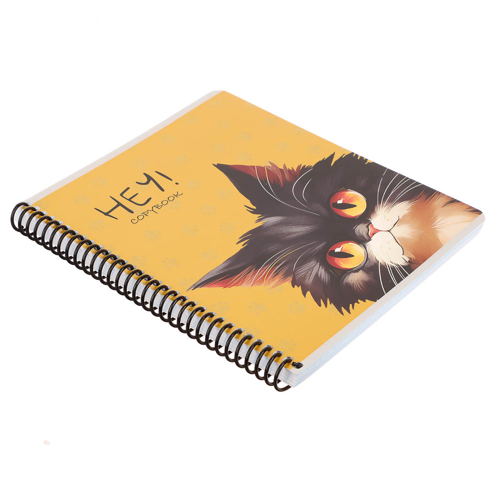 Тетрадь 96 л., А5, в клетку, БЕЛЫЕ ЛИСТЫ, обл.мел. картон, спираль, микс, арт.№ 578-180