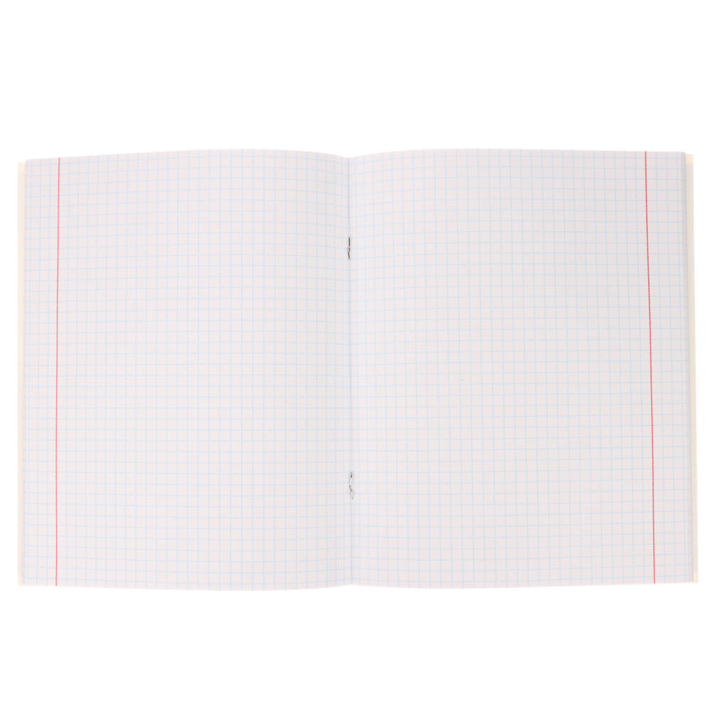 Тетрадь 48л., А5, в клетку, офсет, обл. мел.картон, скрепка, твин лак, микс, арт.№ 578-181