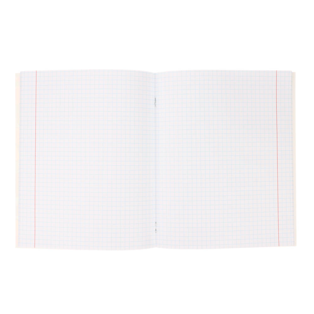 Тетрадь 48л., А5, в клетку, офсет, обл. мел.картон, скрепка, твин лак, микс, арт.№ 578-181