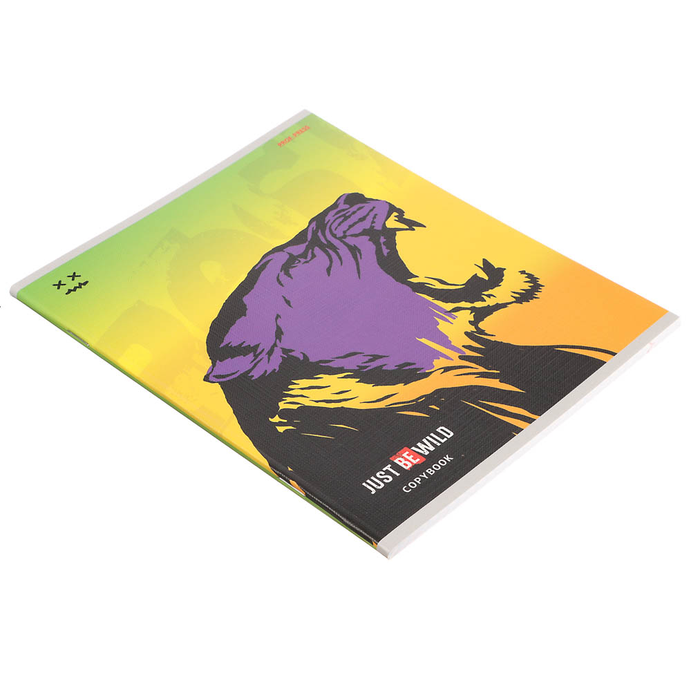 Тетрадь 48л., А5, в клетку, офсет, обл. мел.картон, скрепка, твин лак, микс, арт.№ 578-181