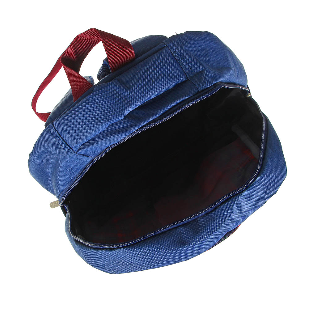 Хайскул Рюкзак подростковый, 38x30x14см, ПЭ, 1 отделение, 3 кармана, уплотненные лямки, арт.№ 254-441