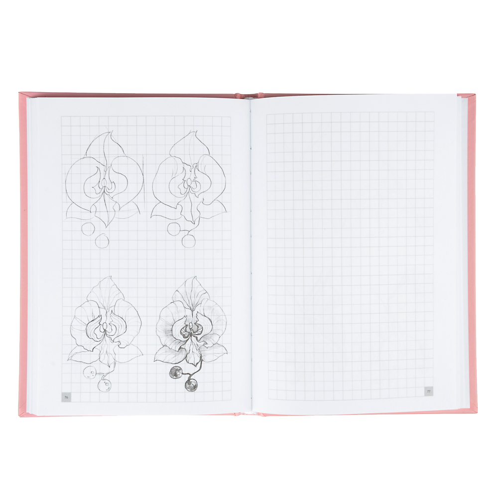 АСТ Скетчбук "Творческий курс по рисованию", 128 стр., бумага, картон, 20,6х14см, 3 дизайна, арт.№ 857-129