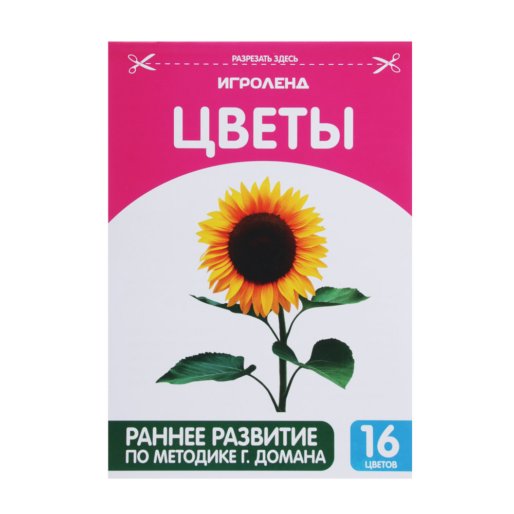 ИГРОЛЕНД Книжка обучающая по методике Г. Домана, бумага, 12х17см, 16 дизайнов, арт.№ 857-125