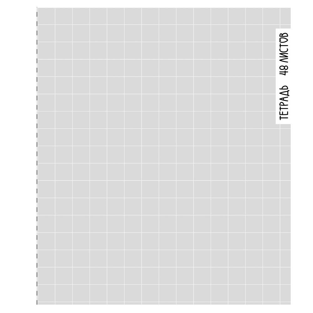Тетрадь общая 48л. в клетку, БЕЛЫЕ ЛИСТЫ, обложка картон, скрепка, УФ лак, "Ничего лишнего" 4 диз, арт.№ 524-348